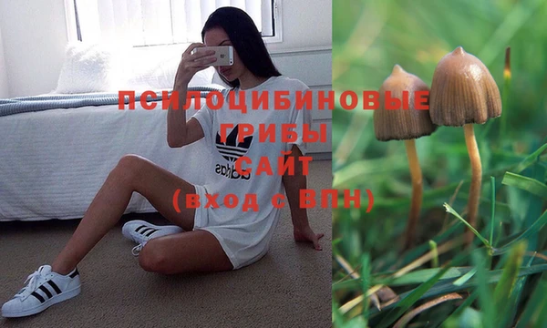 прущие крисы Покровск