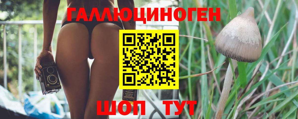 Псилоцибиновые грибы Psilocybe  где можно купить   Каменск-Шахтинский  Вход с VPN 